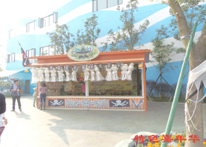 ��ɫ���껪