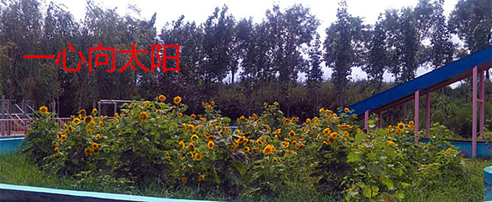 һ����̫��